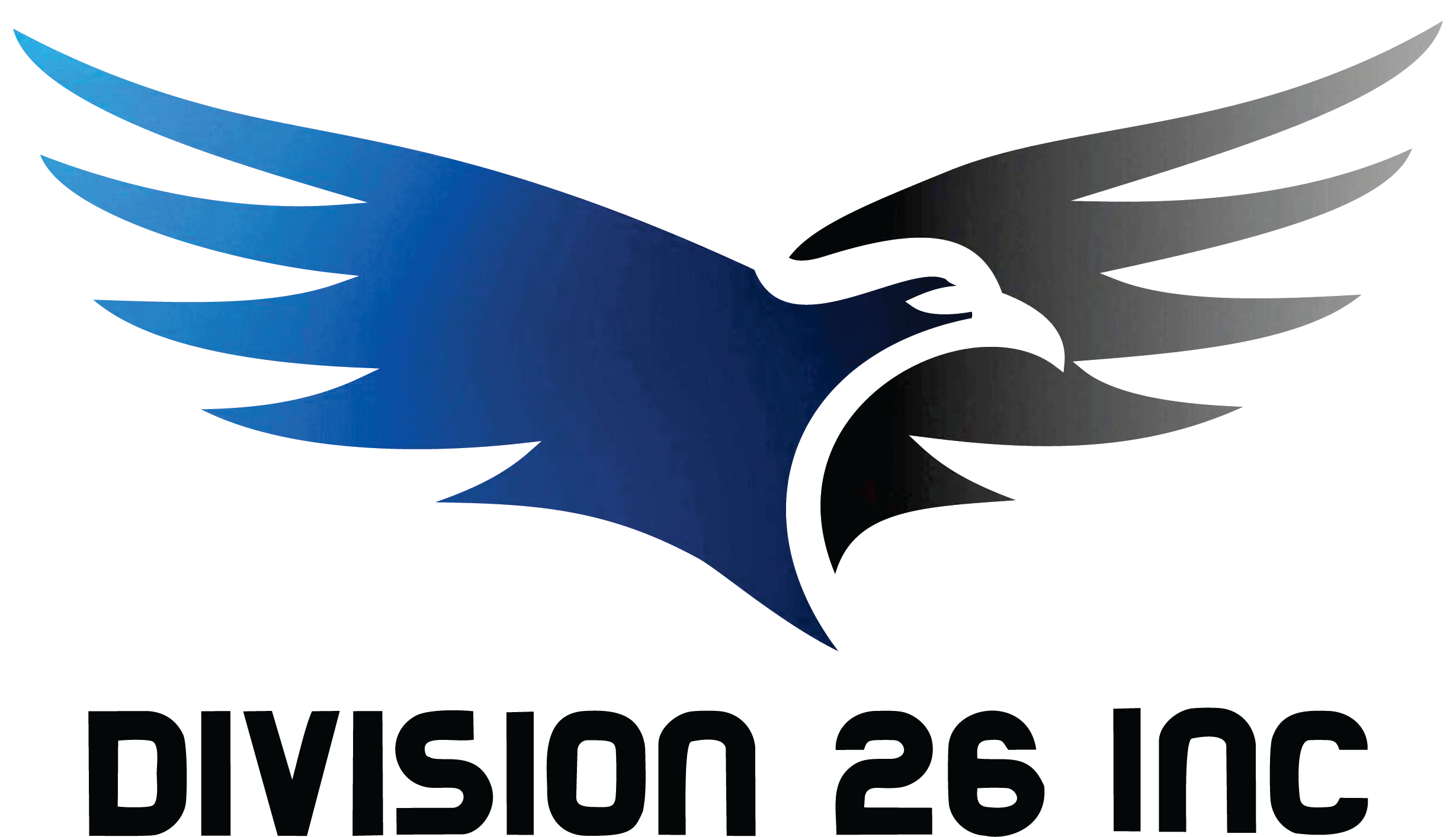Division 26